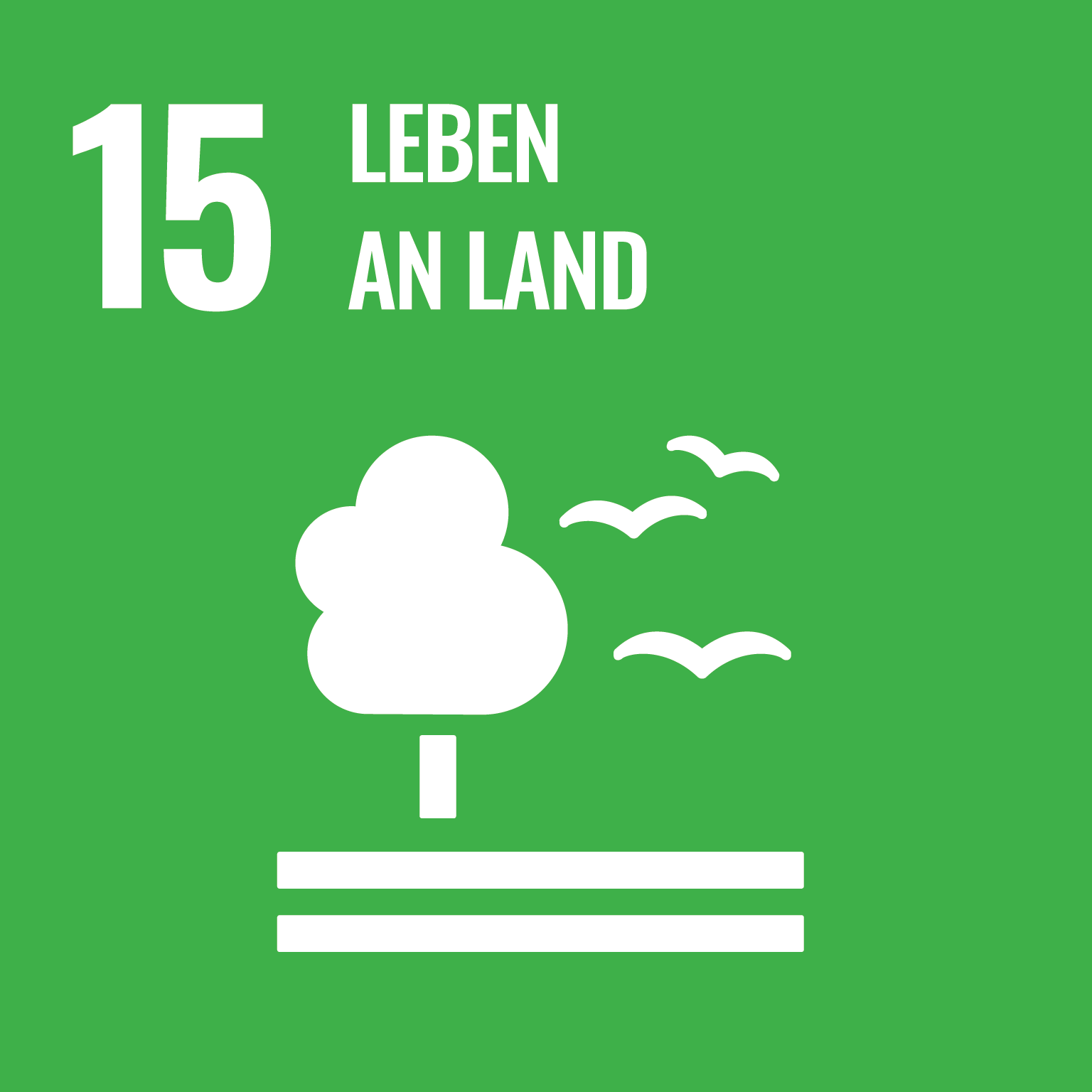 Karte 15: Leben an Land